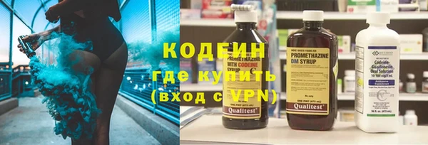 индика Алзамай