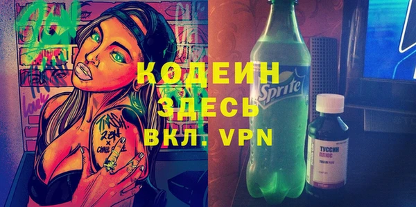 хмурый Алексин