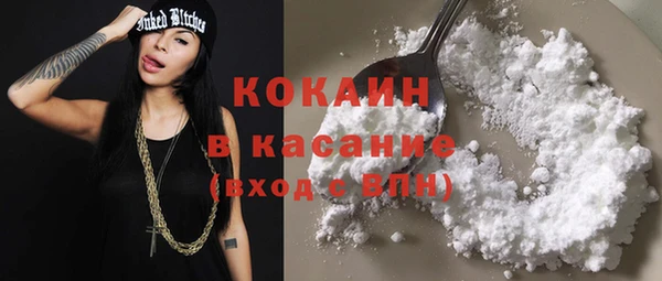 индика Алзамай