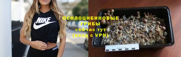индика Алзамай