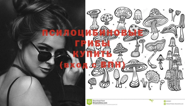 мяу мяу мука Алексеевка