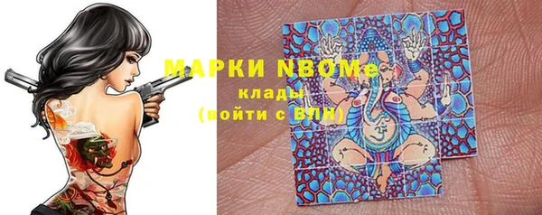индика Алзамай