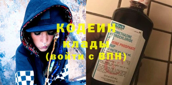 индика Алзамай