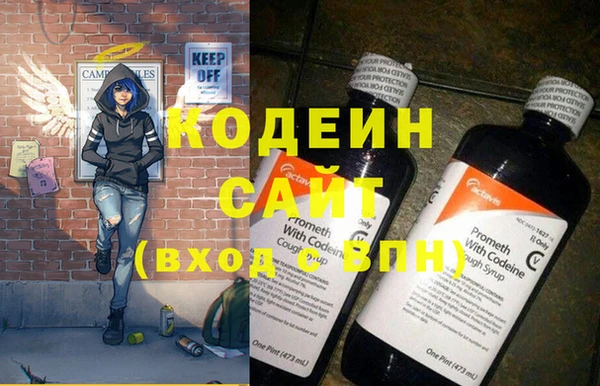 хмурый Алексин