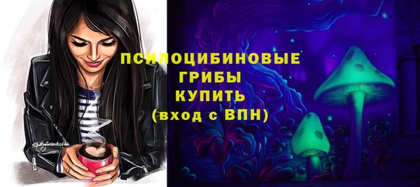 индика Алзамай