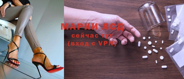 хмурый Алексин