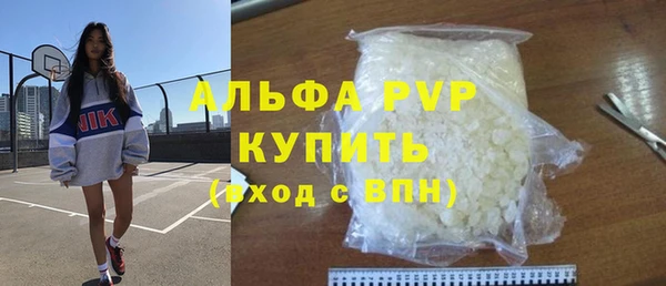 хмурый Алексин