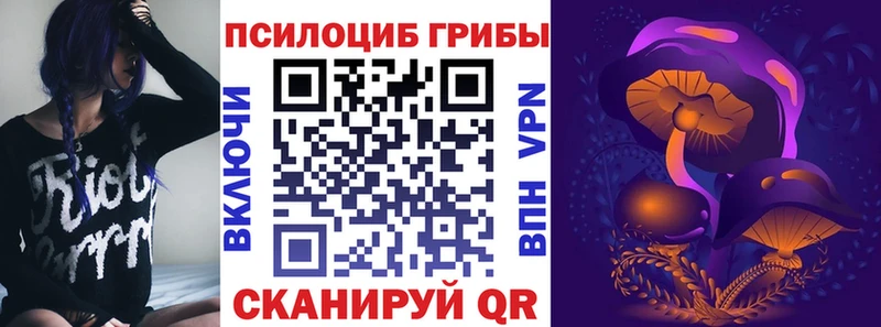 Псилоцибиновые грибы GOLDEN TEACHER  Апрелевка 